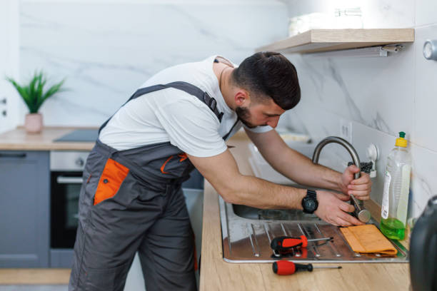 Best Local Plumber Services  in Panacea, FL
